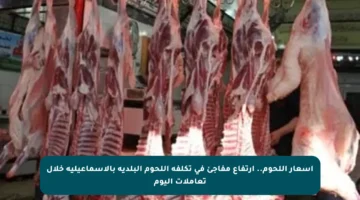 أسعار اللحوم.. ارتفاع مفاجئ في تكلفة اللحوم البلدية بالإسماعيلية خلال تعاملات اليوم